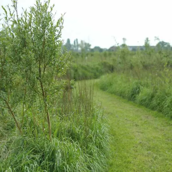 naturistencamping-grensland-kalmthout-acpgv