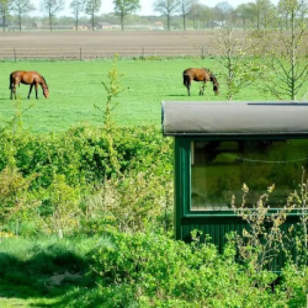 naturistencamping-grensland-kalmthout-izhps