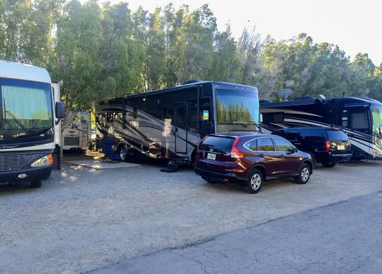 rivers-edge-rv-resort-winterhaven-rwmkq