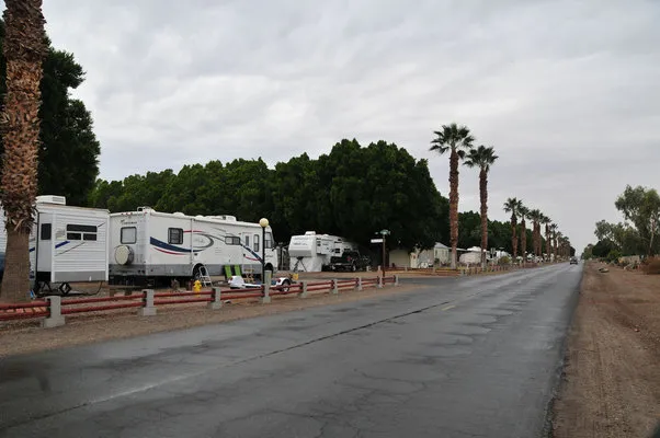 rivers-edge-rv-resort-winterhaven-uso5r