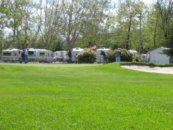 calistoga-rv-park-at-the-napa-county-fairgrounds-calistoga-tmkfc