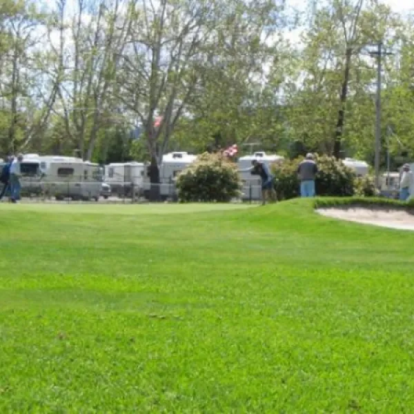 Calistoga RV Park at the Napa County Fairgrounds