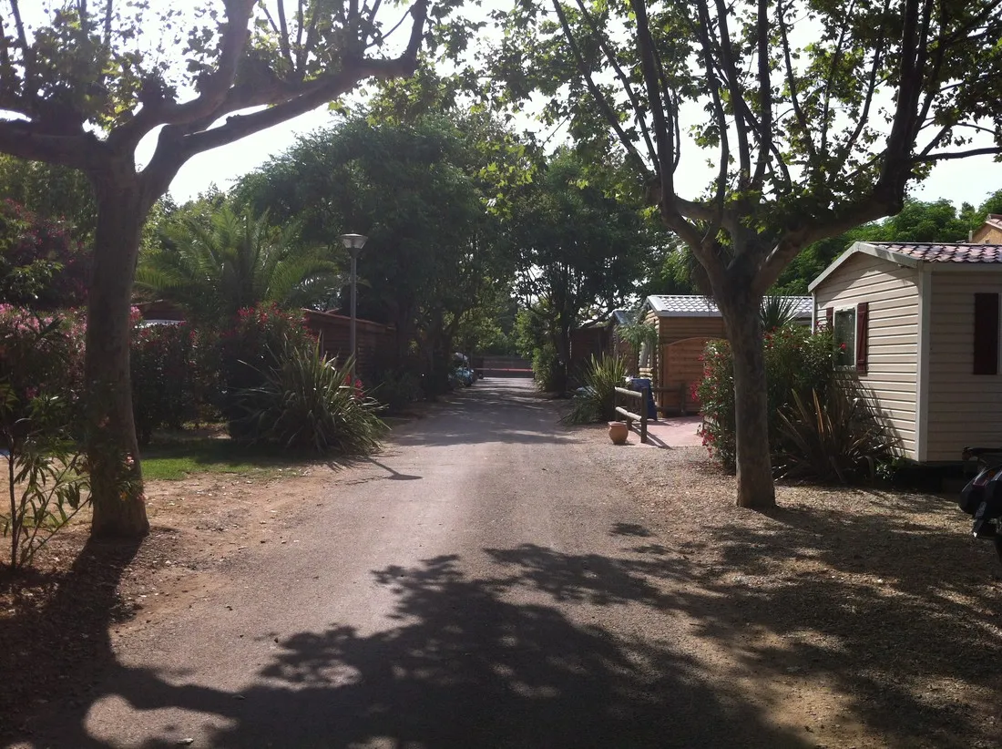 cap-sud-alenya-yyayg