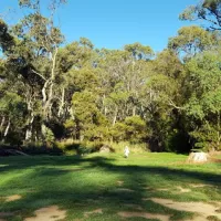 Paddys River Camp Campground