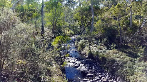 paddys-river-camp-campground-paddys-river-yexdx