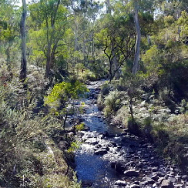paddys-river-camp-campground-paddys-river-yexdx