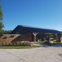 de-boerenzwaluw-zijdewind-cyyrf