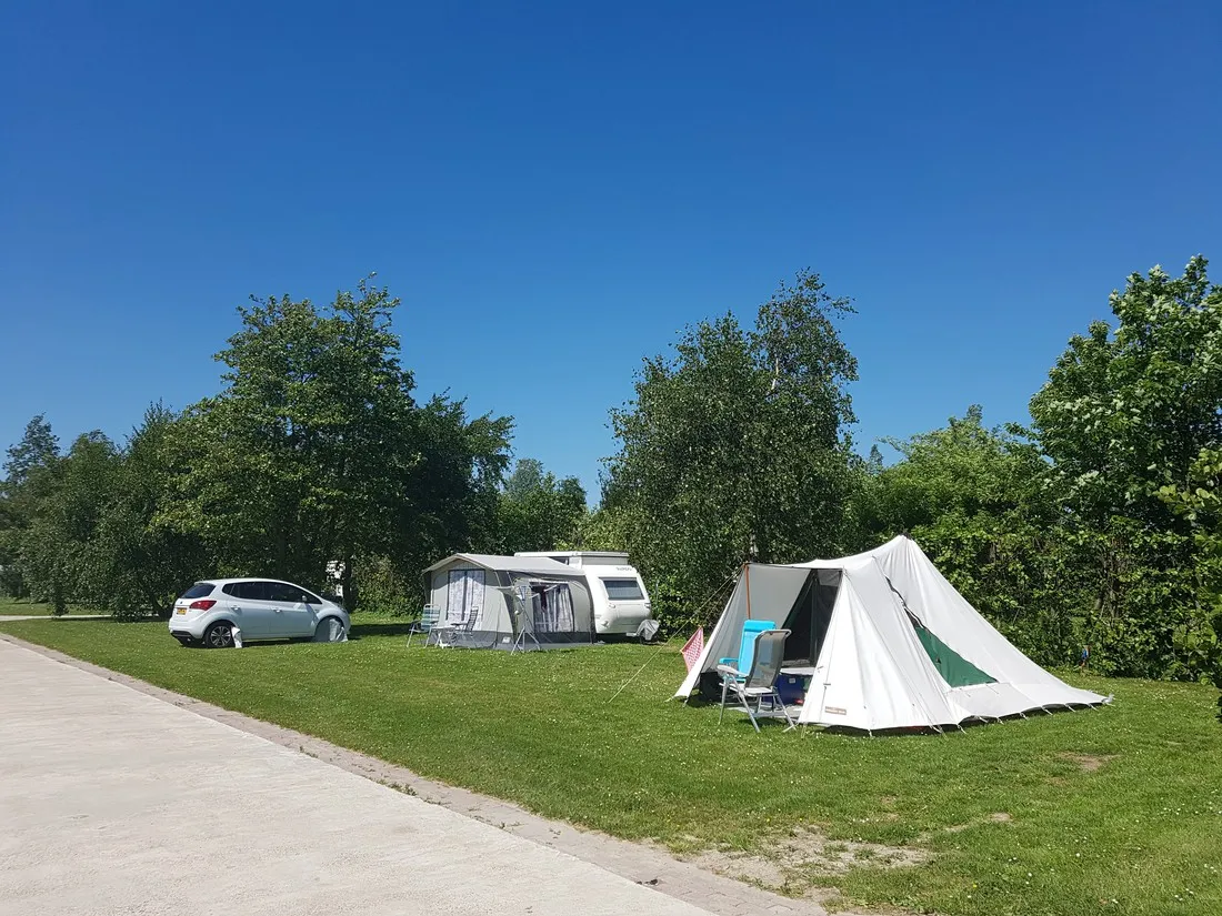 de-boerenzwaluw-zijdewind-ehch1