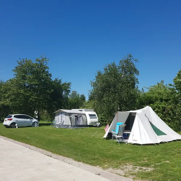 de-boerenzwaluw-zijdewind-ehch1