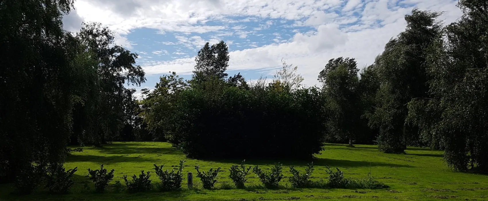 De Boerenzwaluw