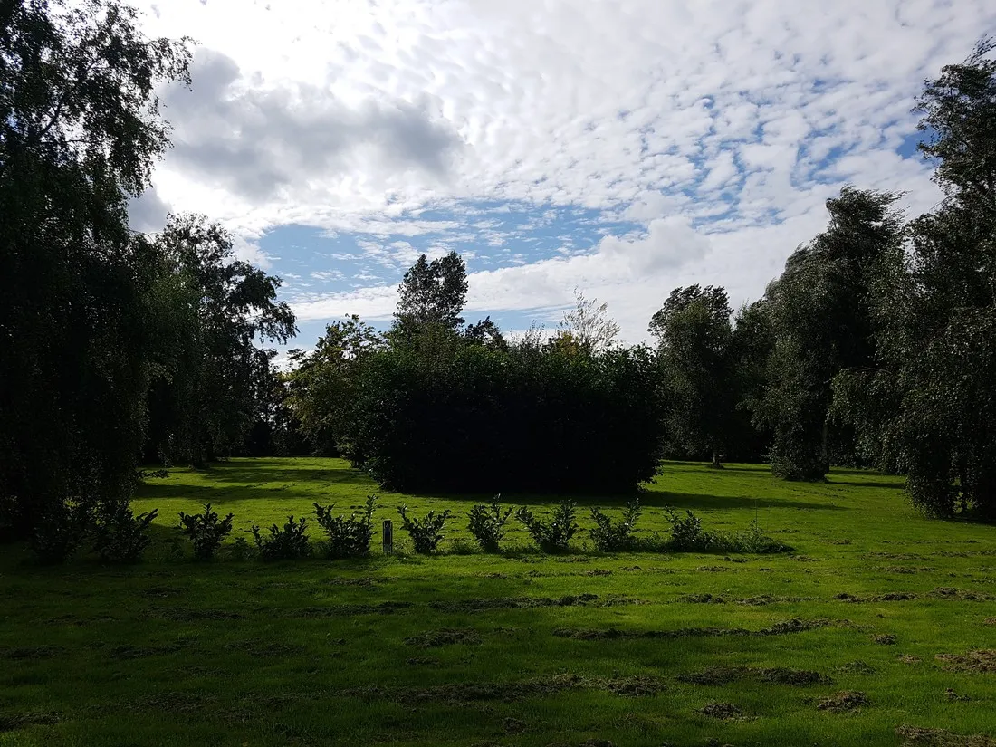 de-boerenzwaluw-zijdewind-gukbe