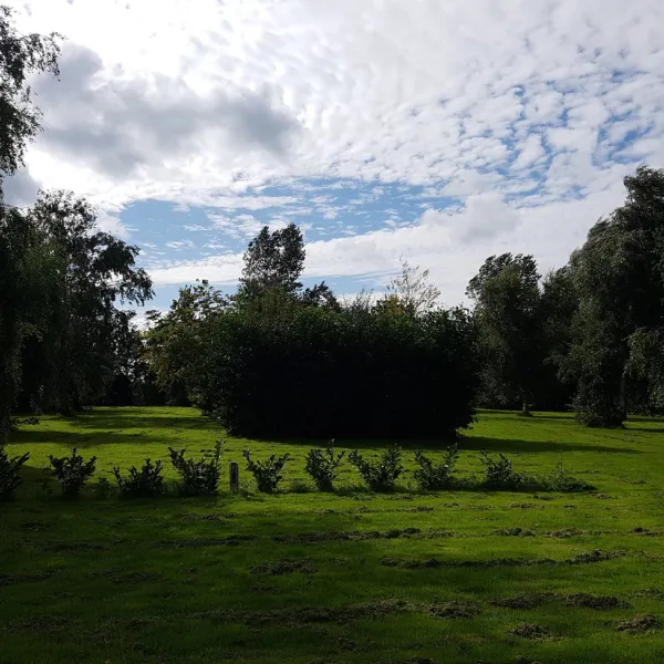 de-boerenzwaluw-zijdewind-gukbe