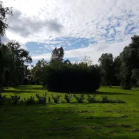 de-boerenzwaluw-zijdewind-gukbe