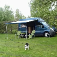 de-boerenzwaluw-zijdewind-rtx2r