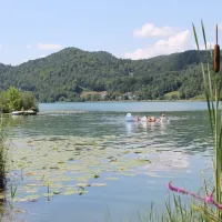 bruckler-sud-keutschach-bzen5