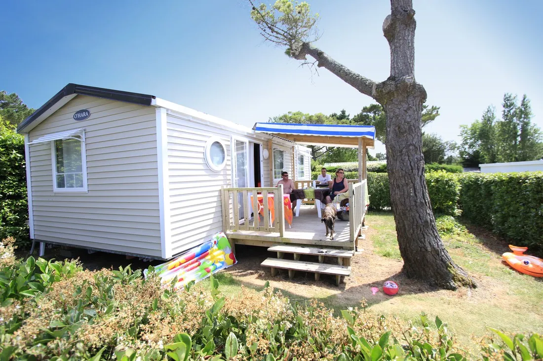 le-moteno-plouhinec-x2ijs