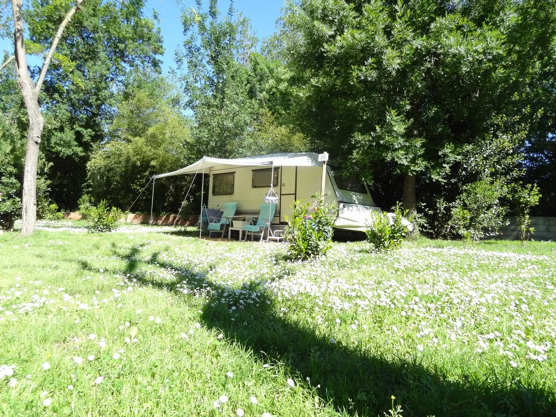 albizia-argelegraves-sur-mer-0oqda