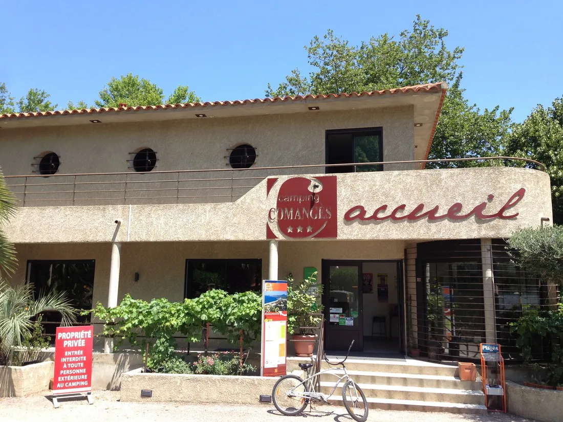 albizia-argelegraves-sur-mer-aiawb