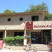 albizia-argelegraves-sur-mer-aiawb