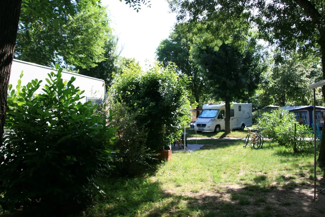 albizia-argelegraves-sur-mer-kzs6g