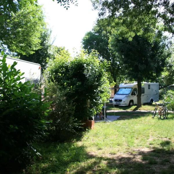 albizia-argelegraves-sur-mer-kzs6g