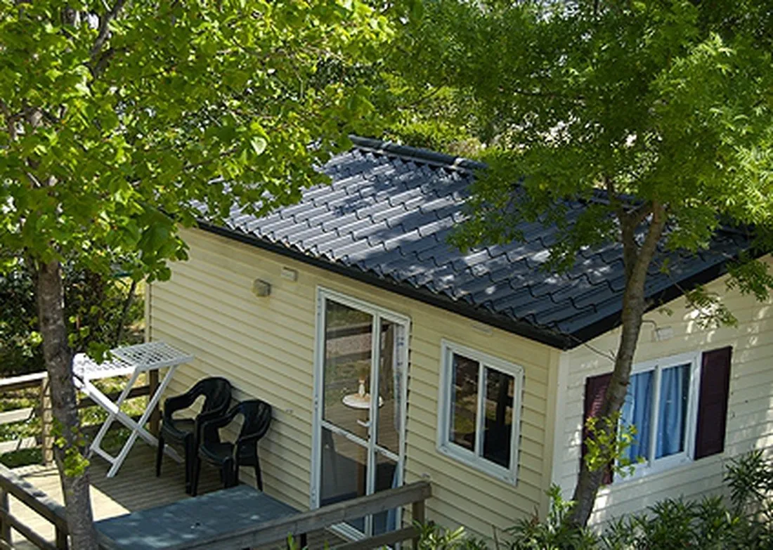 albizia-argelegraves-sur-mer-spfk0