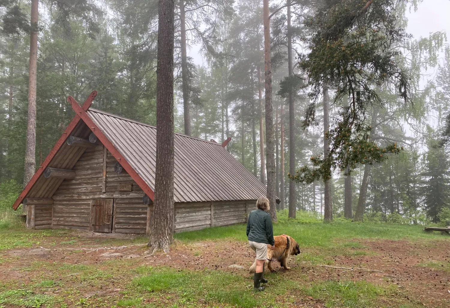 asbergbo-stallplats-vid-orbaden-zip-climb-vallsta-cpjbq