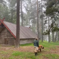 asbergbo-stallplats-vid-orbaden-zip-climb-vallsta-cpjbq