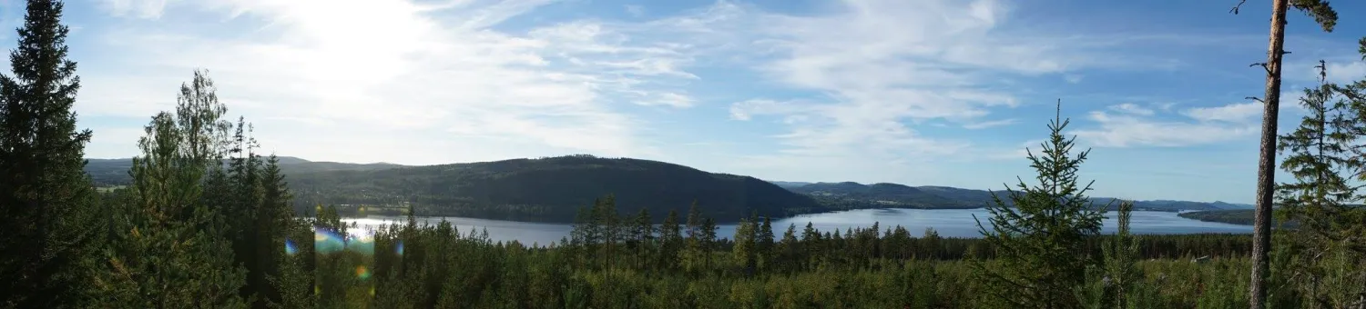 asbergbo-stallplats-vid-orbaden-zip-climb-vallsta-ffkho