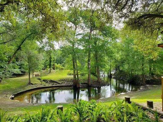 suwannee-river-rendezvous-resort-campground-mayo-0nsol