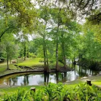 Suwannee River Rendezvous Resort & Campground