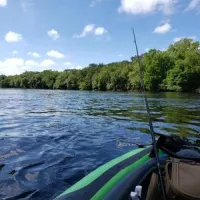 suwannee-river-rendezvous-resort-campground-mayo-j4eq2