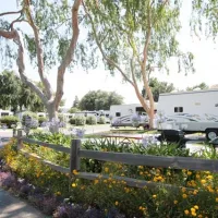 flying-flags-rv-park-campground-buellton-qhbna