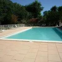 du-lion-bourg-saint-andeol-ardeche-5z9zl