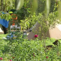 agricamping-fiori-di-noto-noto-drixi