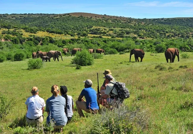 shamwari-explorer-camp-eastern-cape-south-africa-dykdy