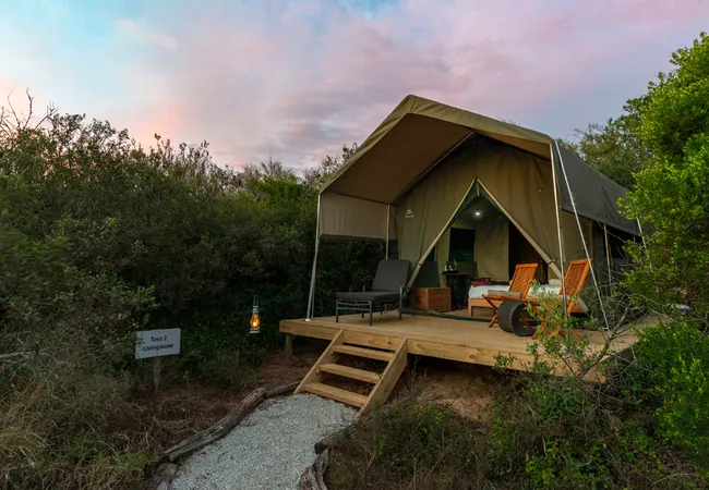 shamwari-explorer-camp-eastern-cape-south-africa-lmfrw