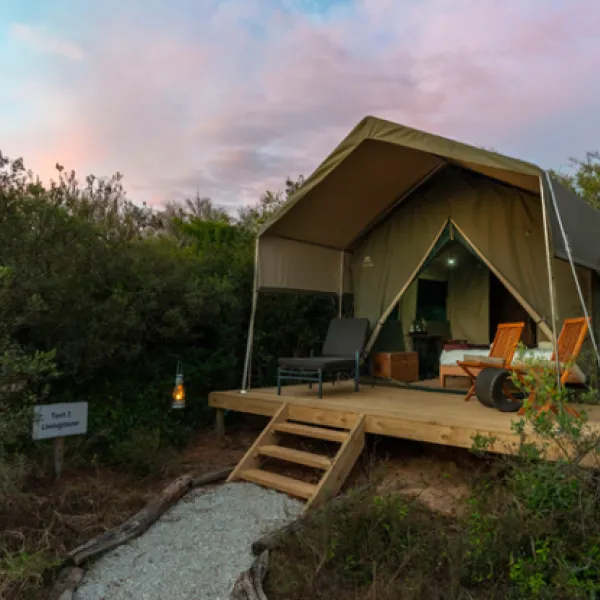 shamwari-explorer-camp-eastern-cape-south-africa-lmfrw