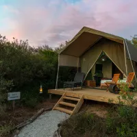 shamwari-explorer-camp-eastern-cape-south-africa-lmfrw
