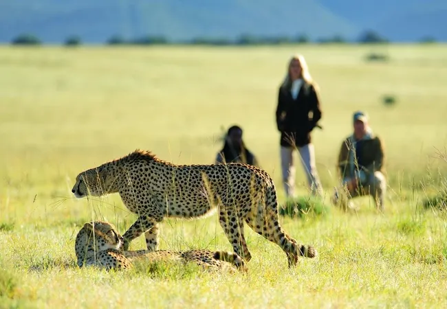 shamwari-explorer-camp-eastern-cape-south-africa-su0jh