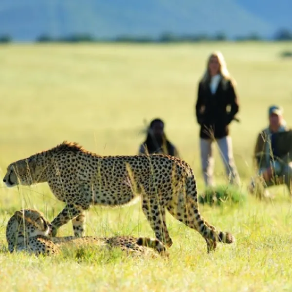 shamwari-explorer-camp-eastern-cape-south-africa-su0jh