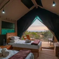 shamwari-explorer-camp-eastern-cape-south-africa-ttmbf