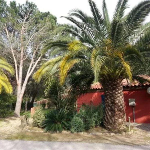 le-haras-palau-del-vidre-bbn5r