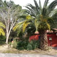 le-haras-palau-del-vidre-bbn5r