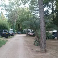 le-haras-palau-del-vidre-n7isk