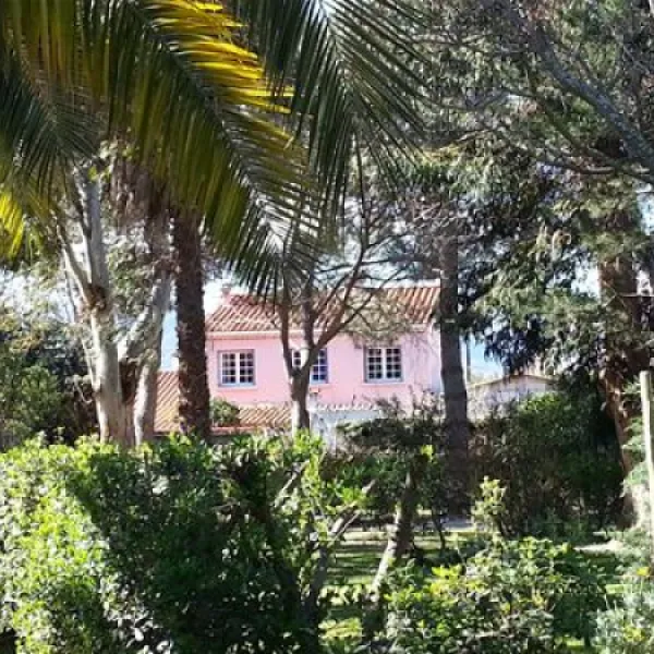 le-haras-palau-del-vidre-rhusq