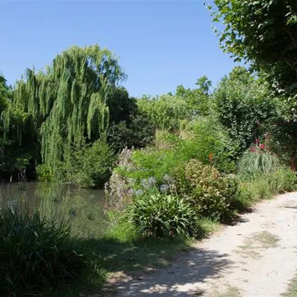 le-haras-palau-del-vidre-wcibc