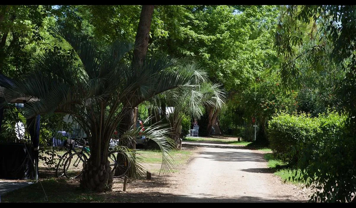 le-haras-palau-del-vidre-zyx16