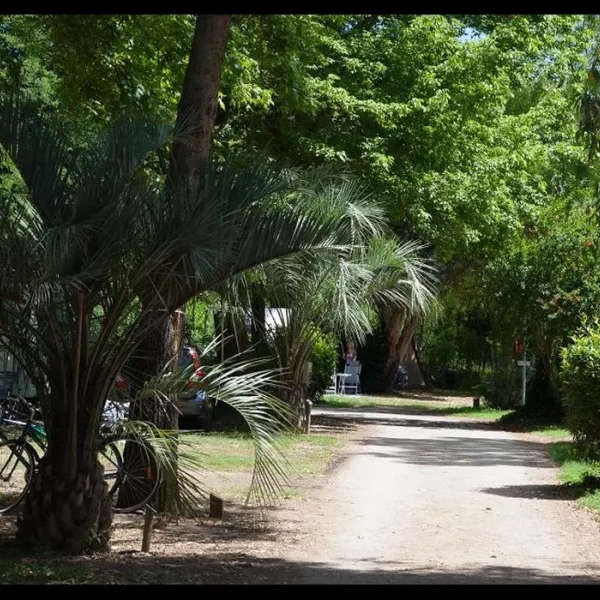 le-haras-palau-del-vidre-zyx16