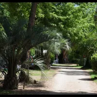 le-haras-palau-del-vidre-zyx16